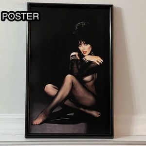 Elvira Mistress Of The Dark Poster